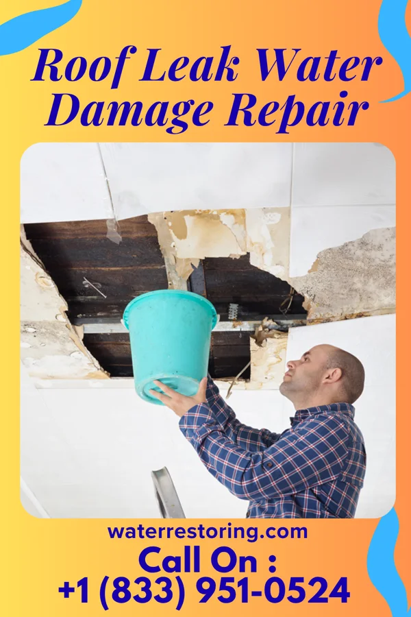 Roof Leak Water Damage Repair in Olmos Park, TX