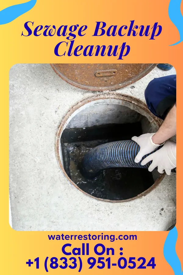 Sewage Backup Cleanup in Olmos Park, TX